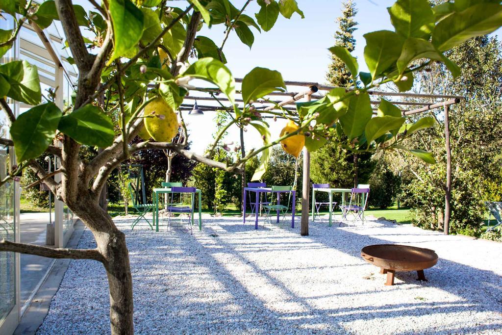 Agriturismo Humile キアンチャーノ・テルメ エクステリア 写真